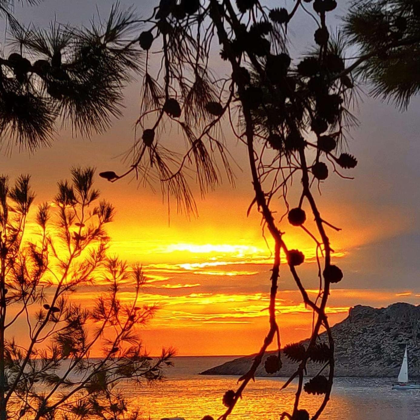Aphrodite Studios Kalymnos Myrties Exterior photo